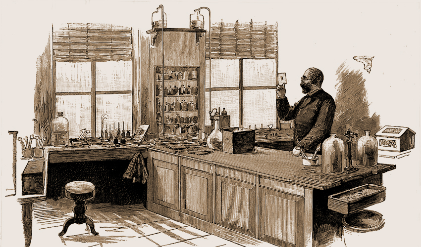 Живые палочки Коха