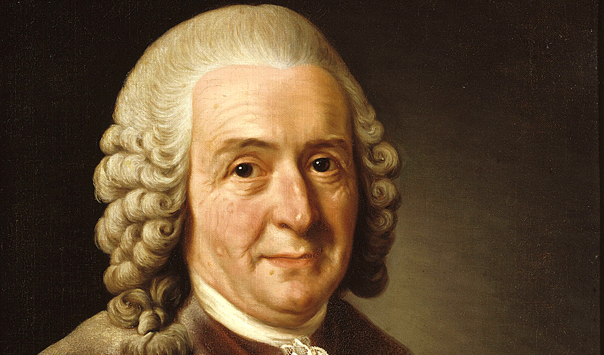 Помолвленный с флорой