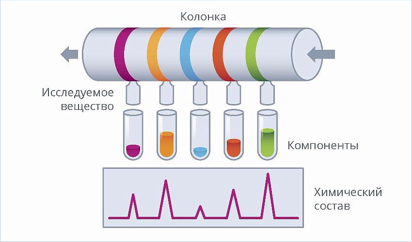 Фамилия, определившая судьбу