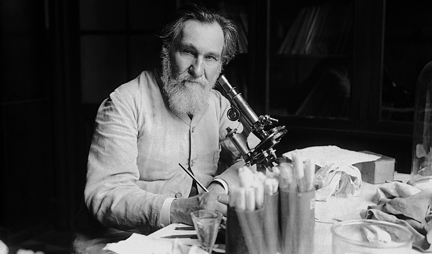 Счастливый цикл жизни