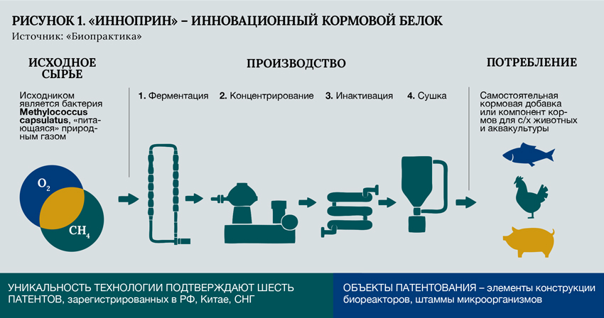 РИС1.jpg